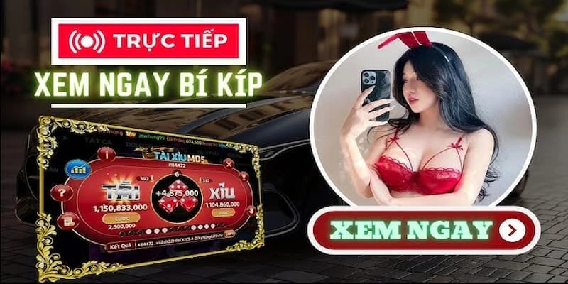 Cơ chế hoạt động trong live tài xỉu Sunwin
